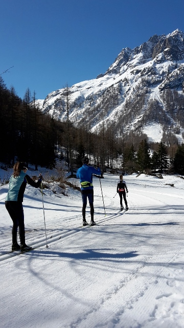 Skieur de fond sur les pistes de fond vallée de Chamonix Skieur de fond sur les pistes de fond vallée de Chamonix