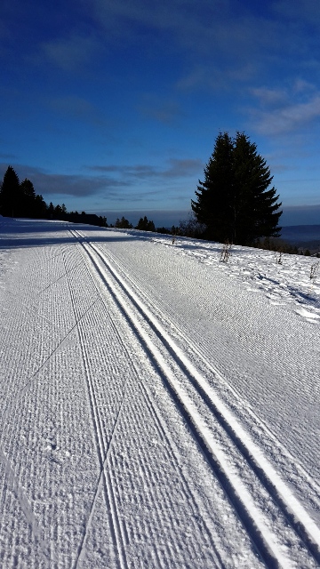 Pistes préparés qui annonce une belle journée de ski de fond Pistes préparés qui annonce une belle journée de ski de fond